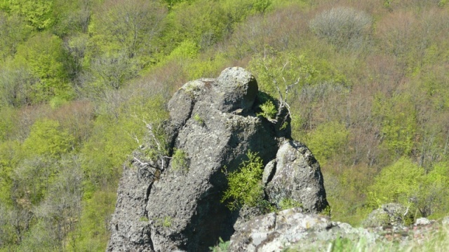 Rankovská skala na skale